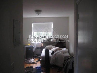 Brookline Apartment for rent 1 Bedroom 1 Bath  Coolidge Corner - $3,250 No Fee