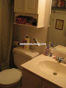 Mission Hill Apartment for rent 1 Bedroom 1 Bath Boston - $2,400