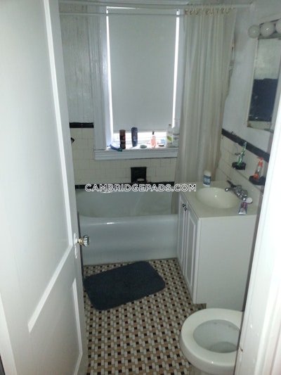 Cambridge Apartment for rent 1 Bedroom 1 Bath  Harvard Square - $3,110 No Fee