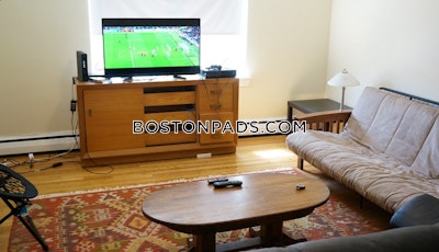 Brighton 2 Bed 1 Bath BOSTON Boston - $3,050