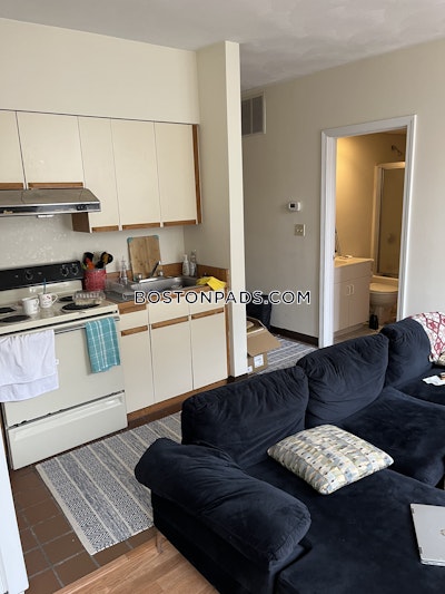 Downtown 1 Bed 1 Bath Boston - $2,600