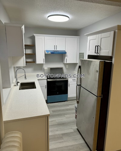 Brighton Apartment for rent 2 Bedrooms 1 Bath Boston - $2,595 No Fee