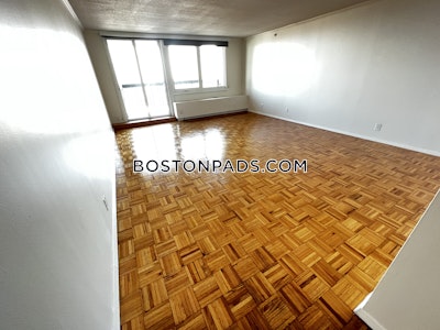 West End Apartment for rent 1 Bedroom 1 Bath Boston - $3,560