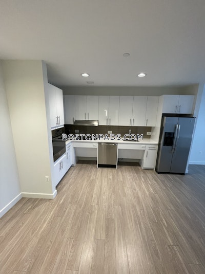 Allston Apartment for rent 1 Bedroom 1 Bath Boston - $4,108