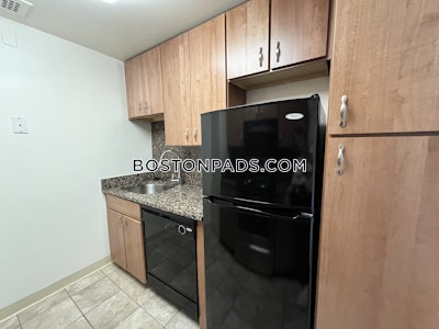 Back Bay Apartment for rent 1 Bedroom 1 Bath Boston - $3,415