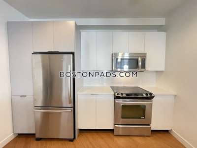 Downtown Apartment for rent 1 Bedroom 1 Bath Boston - $4,304