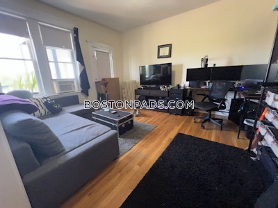 Brighton Apartment for rent 1 Bedroom 1 Bath Boston - $2,400 No Fee