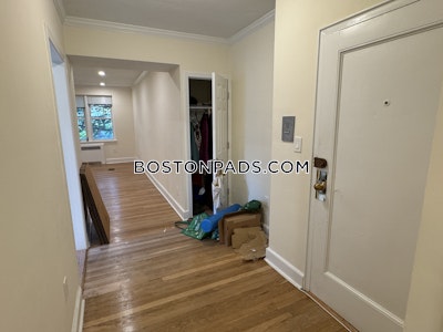 Brighton Apartment for rent 1 Bedroom 1 Bath Boston - $2,755 No Fee