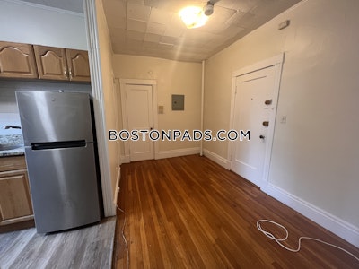 Allston/brighton Border Apartment for rent 1 Bedroom 1 Bath Boston - $2,100