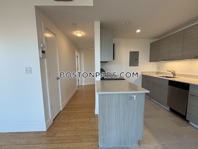 Allston Apartment for rent 2 Bedrooms 2 Baths Boston - $3,900 No Fee