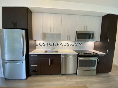 West End 2 bedroom  Luxury in BOSTON Boston - $5,724